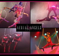 Aerial Angels - Accommodation Mount Tamborine