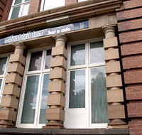 Don't Tell Tom - Accommodation Mount Tamborine