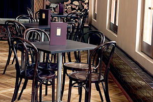 Fawkner - Accommodation Mount Tamborine 0