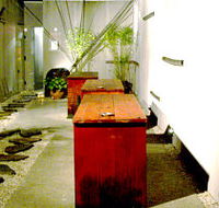 Koi - Accommodation Mount Tamborine