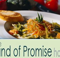 Land of Promise Hotel - Accommodation Mount Tamborine