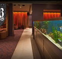 AB Hotel - Accommodation Mount Tamborine