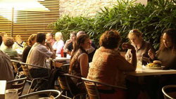 Camperdown NSW Accommodation Mount Tamborine