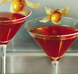 Ashfield NSW Accommodation Mount Tamborine