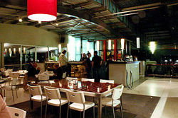 Martini Bar - Accommodation Mount Tamborine 1