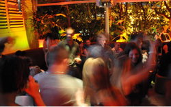 Ivanhoe Hotel - Accommodation Mount Tamborine 0