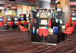 Coolangatta Hotel - Accommodation Mount Tamborine 3