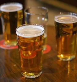 Hotel Unilodge - Sydney - Accommodation Mount Tamborine 2