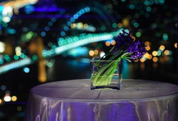 Summit - Orbit Lounge Bar - Accommodation Mount Tamborine 3