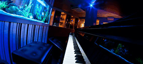 Saks Restaurant & Bar - Accommodation Mount Tamborine 2