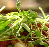 Wild Hearts Cafe Restaurant - Accommodation Mount Tamborine