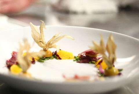 Jellyfish Restaurant - Accommodation Mount Tamborine 0