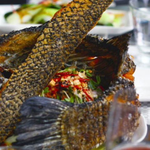 Jellyfish Restaurant - Accommodation Mount Tamborine 3