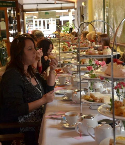 The Fig Tree @ Eumundi - Accommodation Mount Tamborine 10