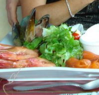 Gold Coast Gondolas - Accommodation Mount Tamborine