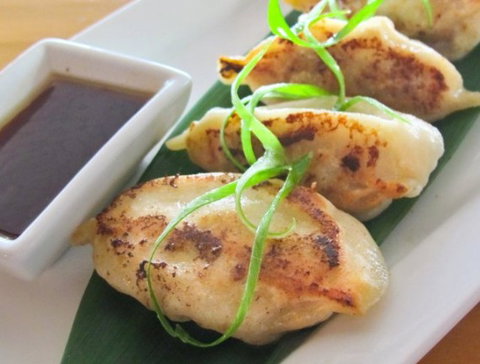 Sakana Sushi Bar - Accommodation Mount Tamborine 4