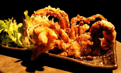O'Sushi Japanese Restaurant - Accommodation Mount Tamborine 3