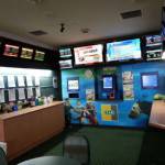 Fish Frenzy - Accommodation Mount Tamborine 2