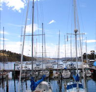 Oyster Cove Inn - Accommodation Mount Tamborine