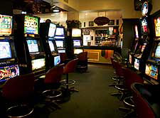 Hotel Tasmania - Accommodation Mount Tamborine 1