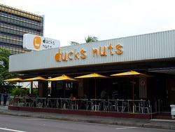 Ducks Nuts Bar & Grill - Accommodation Mount Tamborine 2