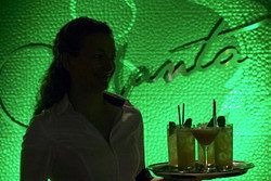 Manta - Accommodation Mount Tamborine 2