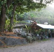 Ellis Beach Bar  Grill - Accommodation Mount Tamborine