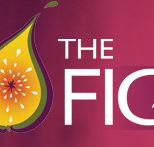 Wild Fig - Accommodation Mount Tamborine