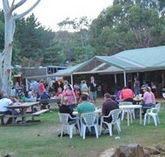 Bush Shack Brewery - Accommodation Mount Tamborine