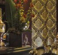 Absinthe Salon - Accommodation Mount Tamborine
