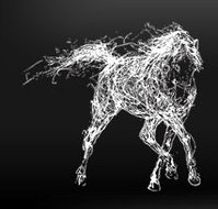 The White Horse - Accommodation Mount Tamborine