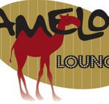 Camelot Lounge - Accommodation Mount Tamborine