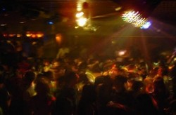 Club Tracks - Accommodation Mount Tamborine 1