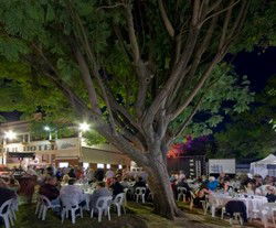 Premier Hotel - Accommodation Mount Tamborine 2