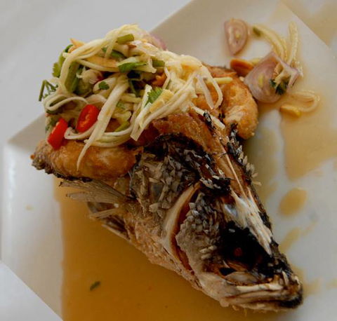 Bermagui Country Club - Accommodation Mount Tamborine 7