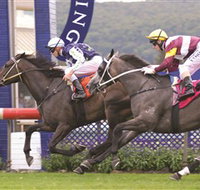 Gosford Race Club - Accommodation Mount Tamborine