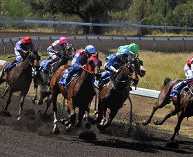 Undoolya NT Accommodation Mount Tamborine