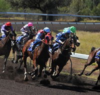 Alice Springs Turf Club - Accommodation Mount Tamborine