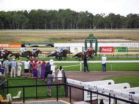 Pinjarra Race Club - Accommodation Mount Tamborine 0