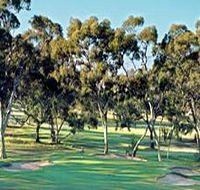 Tanunda Pines Golf Club - Accommodation Mount Tamborine