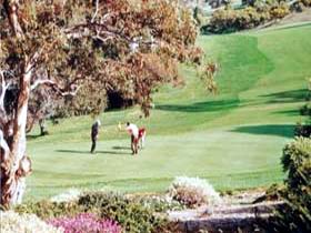 Victor Harbor Golf Club - Accommodation Mount Tamborine 1
