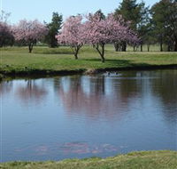 RMC Golf Club - Accommodation Mount Tamborine
