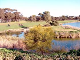 Maitland Golf Club Incorporated - Accommodation Mount Tamborine 1