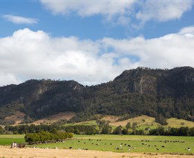 Cobark NSW Accommodation Mount Tamborine