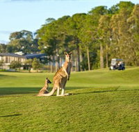 Sanctuary Cove Golf and Country Club - Accommodation Mount Tamborine