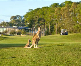 Sanctuary Cove Golf and Country Club