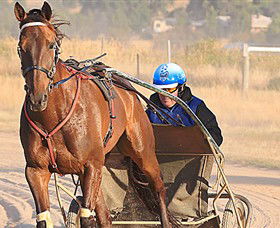 Ballarat & District Trotting Club - Accommodation Mount Tamborine 0