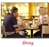 Steelers Club - Accommodation Mount Tamborine