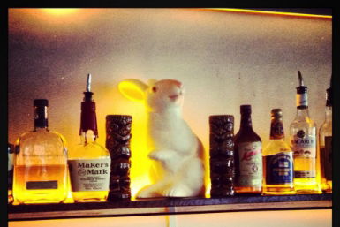 Hairy Canary - Accommodation Mount Tamborine 0