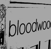 Bloodwood - Accommodation Mount Tamborine